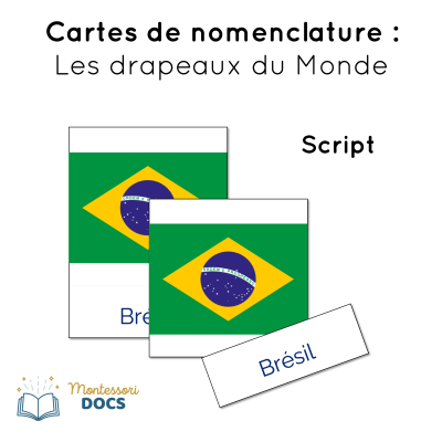 Cartes Montessori Animaux d'Afrique - Couleur Continent à Imprimer - script