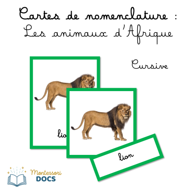 Animaux d'Afrique - Couleur Continent Montessori