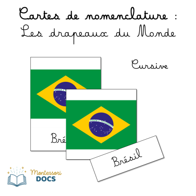 Cartes Montessori Animaux d'Afrique - Couleur Continent à Imprimer - script