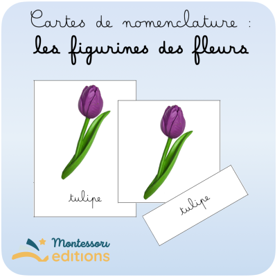 cartes de nomenclature : les figurines des fleurs