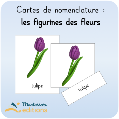 cartes de nomenclature : les figurines des fleurs